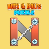 Nuts & Bolts Puzzle