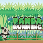 Panda en train de courir